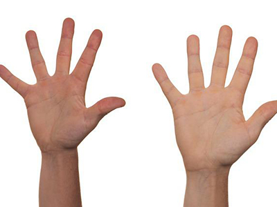 Fotografie zweier Hände, die sich melden